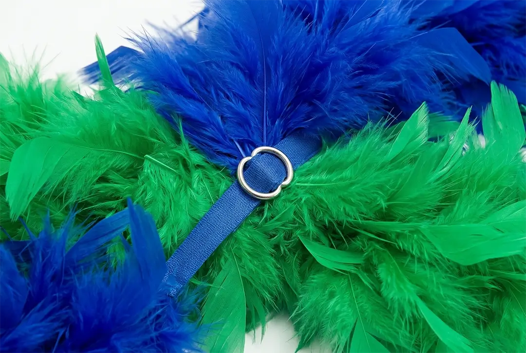 Feathers image 1