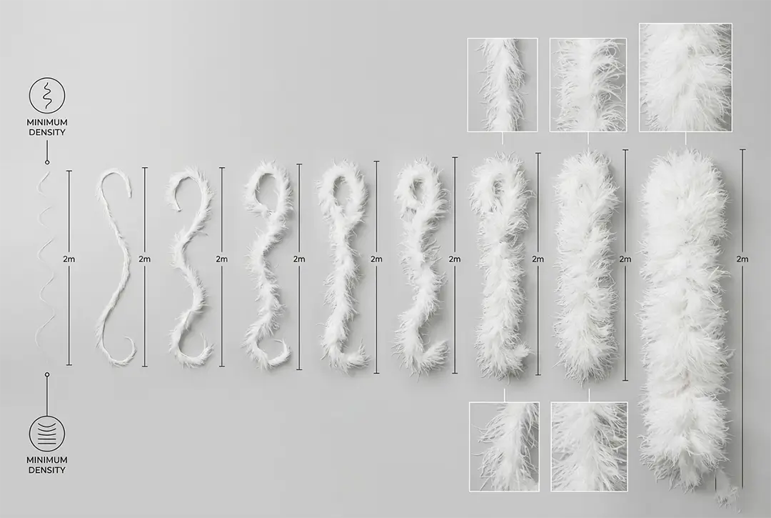 Feathers image 3