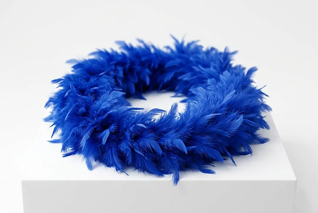 Feathers image 5