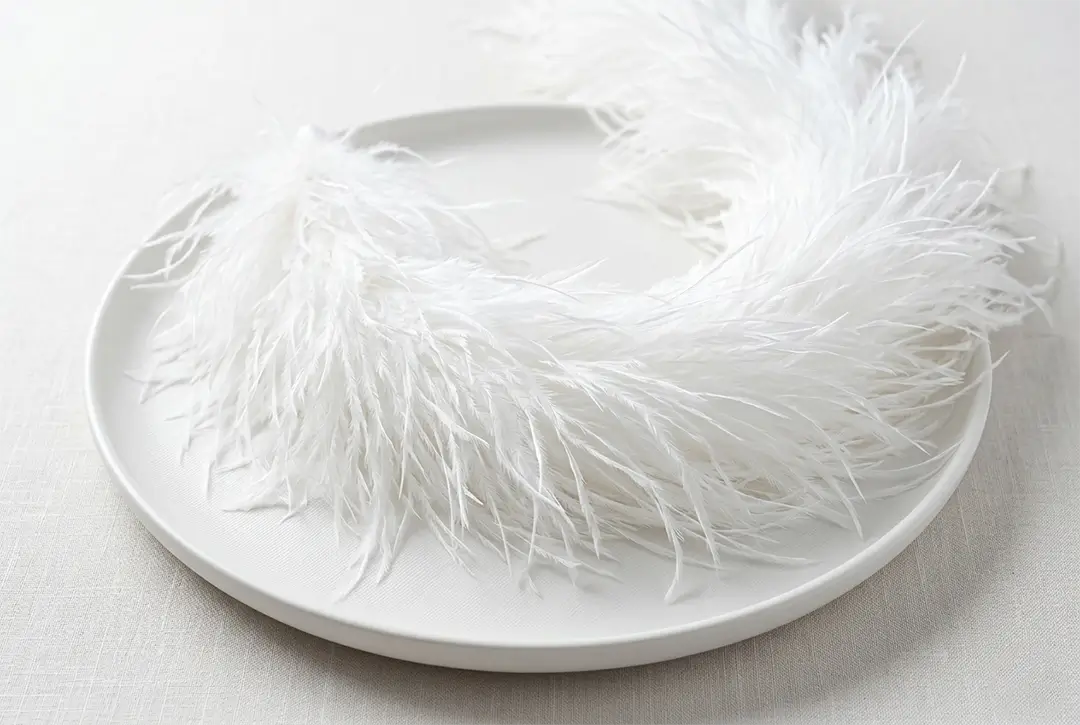 Feathers image 8